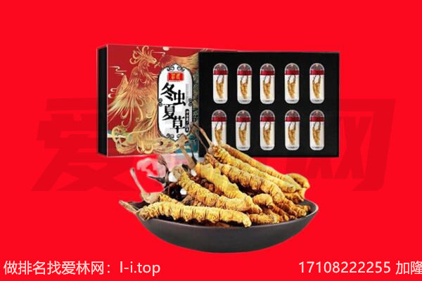 乐山回收虫草.jpg
